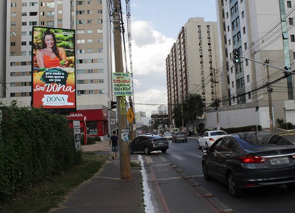 PAINEL LED ARAUCÁRIAS II